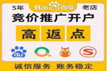 百度竞价包年策略：成功案例解析与经验分享